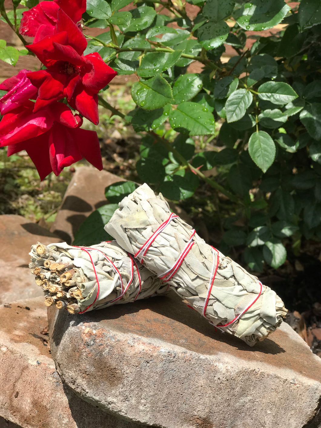 White or Blue Sage Bundles (2)