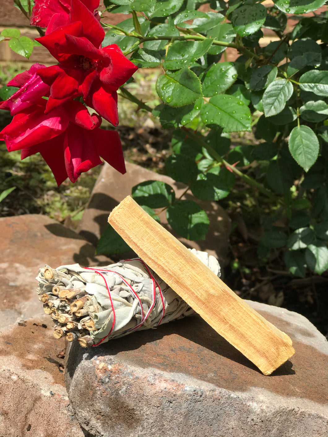 White or Blue Sage and Palo Santo