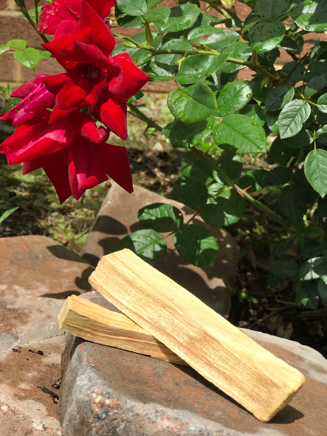 Palo Santo (2)